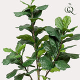 Livraison plante Ficus Lyrata plante artificielle h180cm, Ø17cm