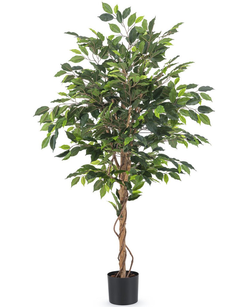 Livraison plante Ficus Vert - Arbre artificiel