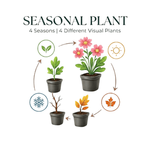 Livraison plante Geranium Max frei