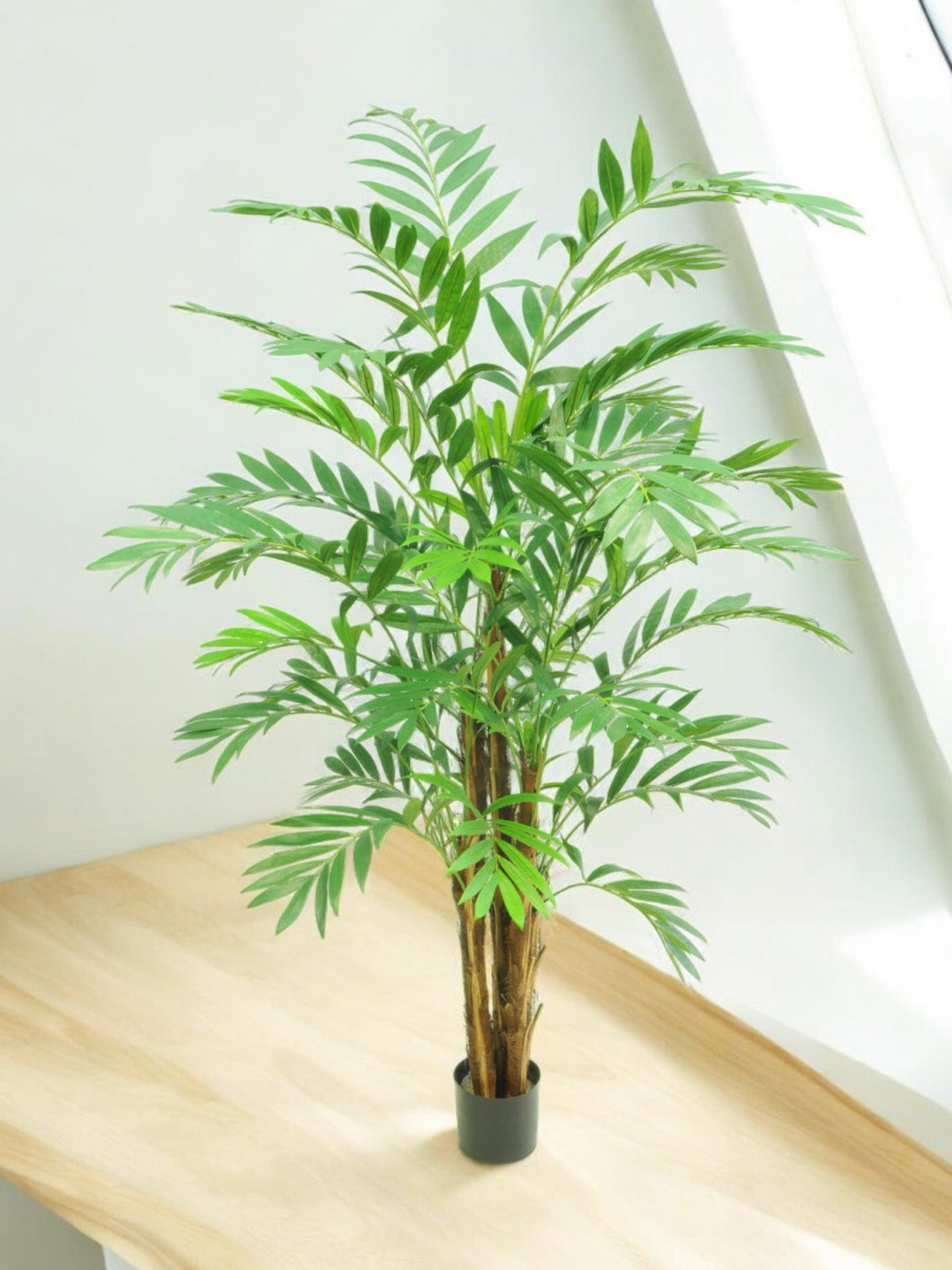 Livraison plante Hawaii Parlour - Palmier artificiel