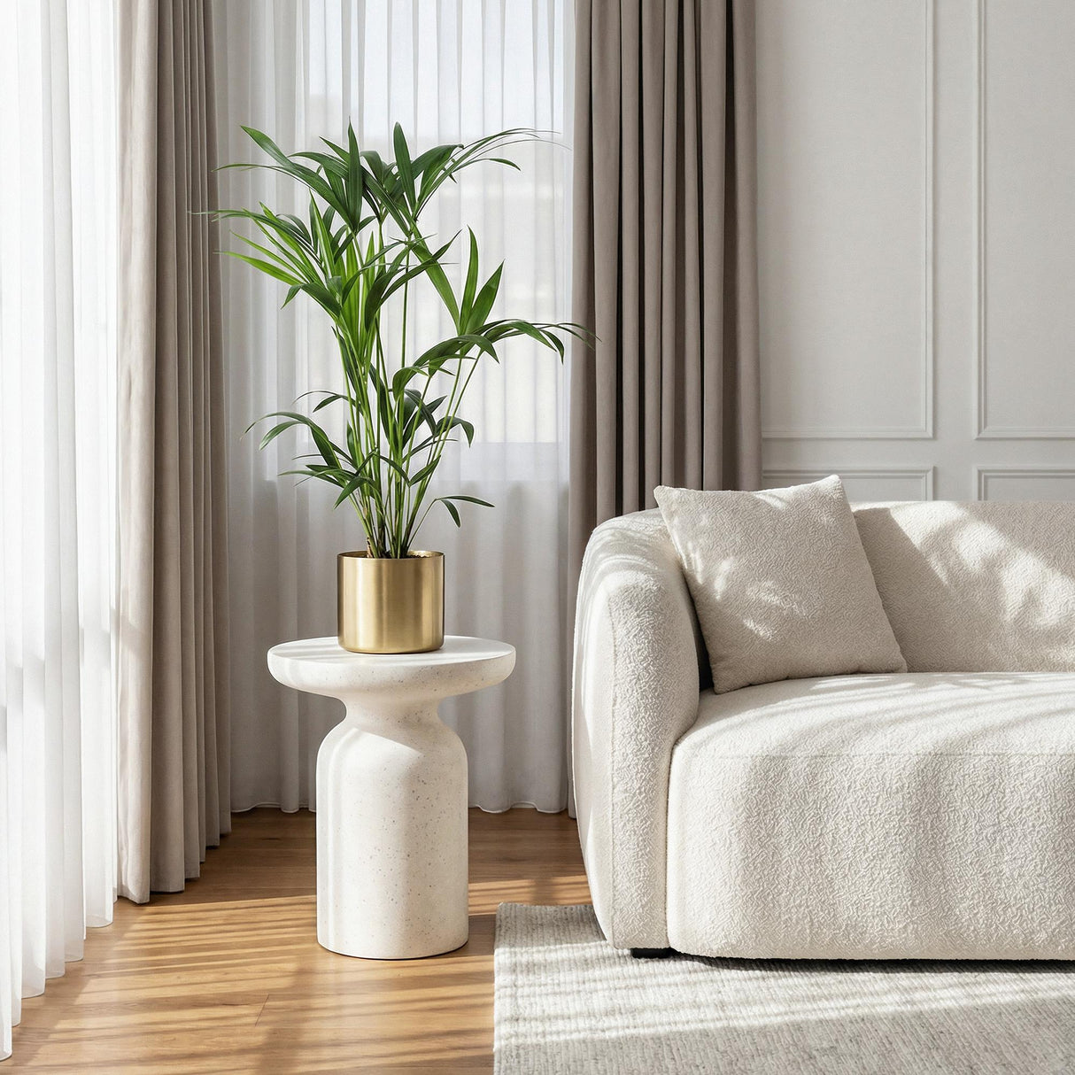 Livraison plante Howea Forsteriana d19cm H80cm