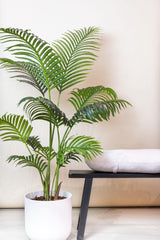 Livraison plante Howea Forsteriana plante artificielle - h140cm, Ø14cm