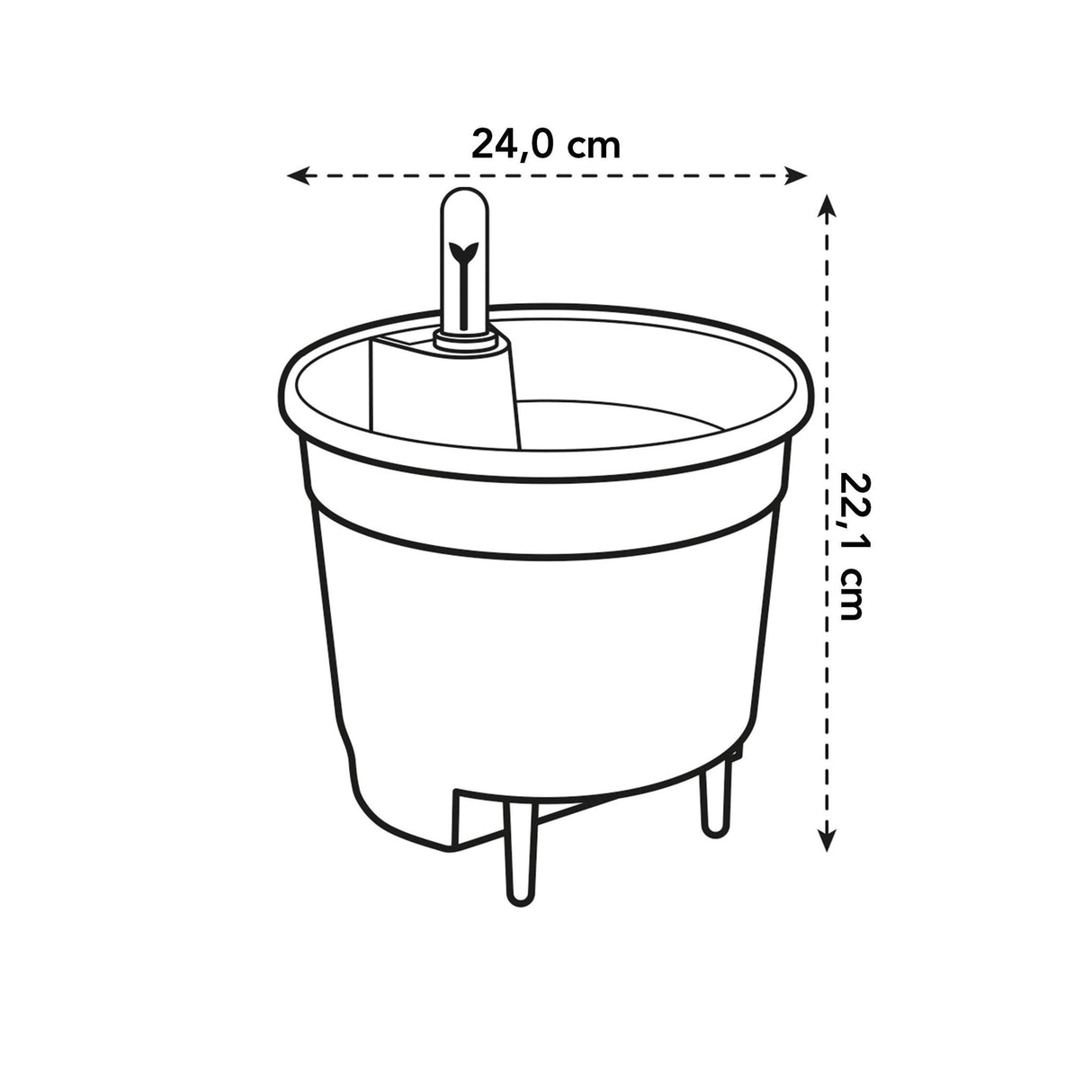 Livraison plante Insert Autarcique - 24 cm