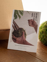 Livraison plante Kit Kokedama - Ficus