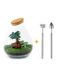 Livraison plante Kit Terrarium DIY - DOORN