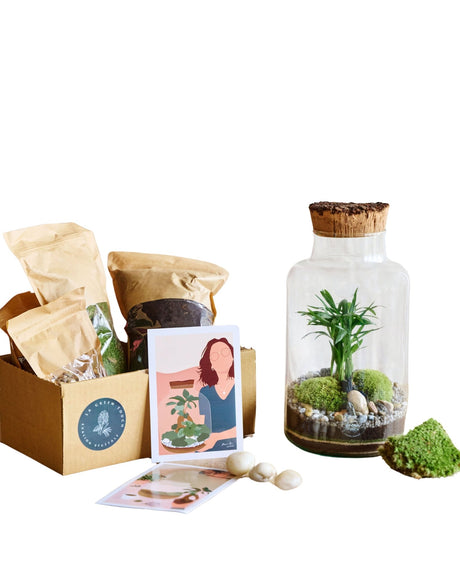 Livraison plante Kit Terrarium DIY - NAPOLI