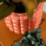 Livraison plante Kolibri Home | Poppy sierpot - Orange - Ø9cm