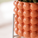 Livraison plante Kolibri Home | Poppy sierpot - Orange - Ø9cm