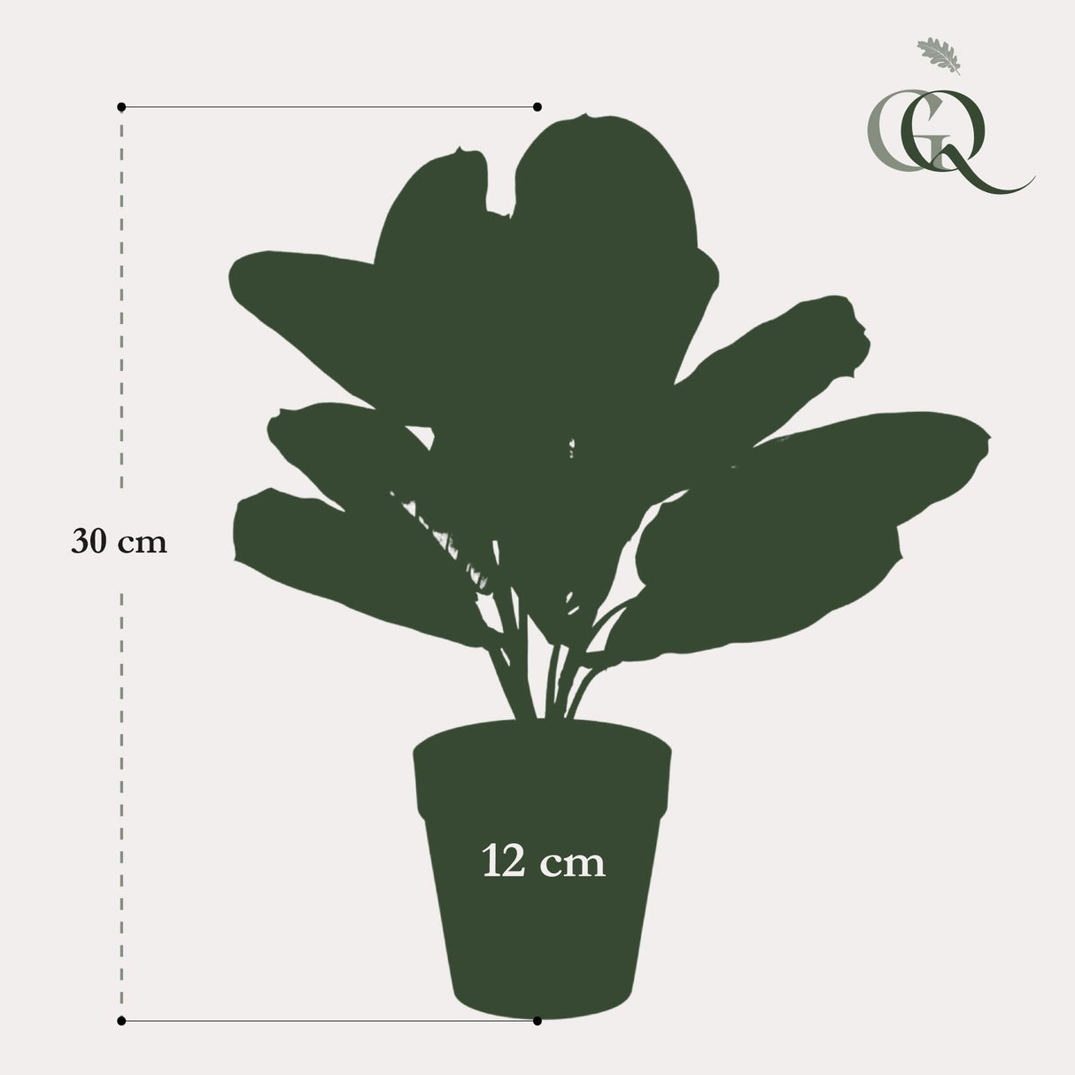 Livraison plante Marantha Fascinator plante artificielle - h30cm, Ø12cm