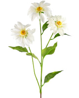 Livraison plante Marguerite Artificielle Blanche