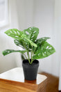 Livraison plante Monstera Monkey plante artificielle - h29cm, Ø18cm