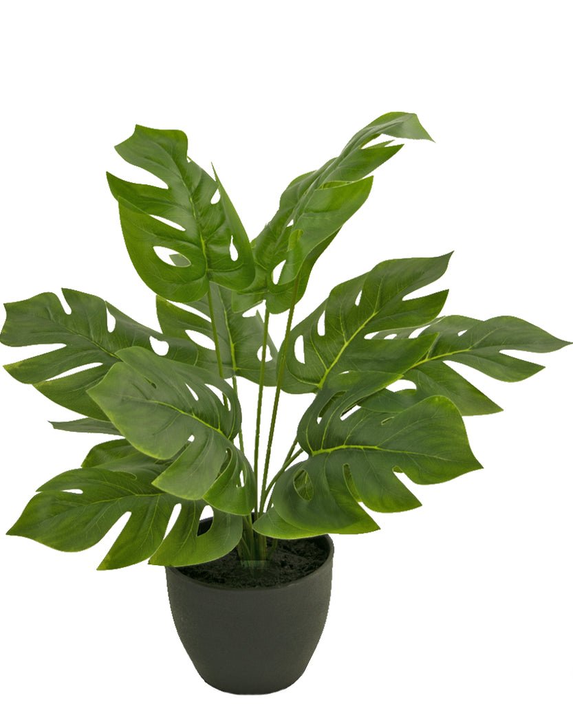 Livraison plante Monstera - Plante verte artificielle