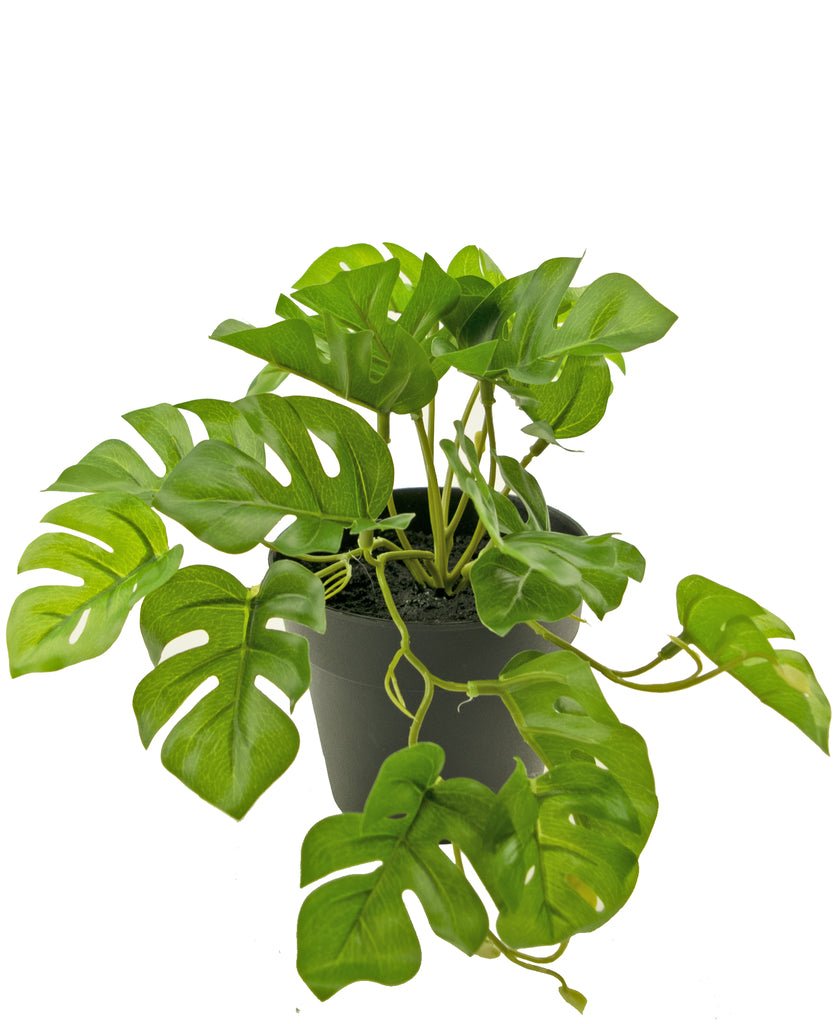 Livraison plante Monstera - Plante verte artificielle