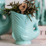 Livraison plante Orchidée Amabilis Blanche et Crassula Hobbit avec Pots Turquoise