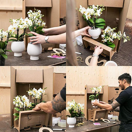 Livraison plante Orchidée jaune et plante verte en pots kaki vintage sur plateau bambou