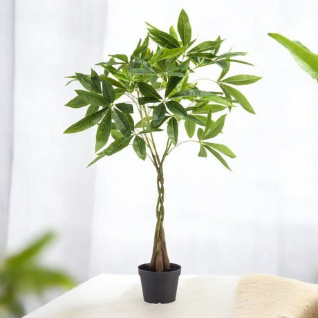 Livraison plante Pachira aquatica artificiel