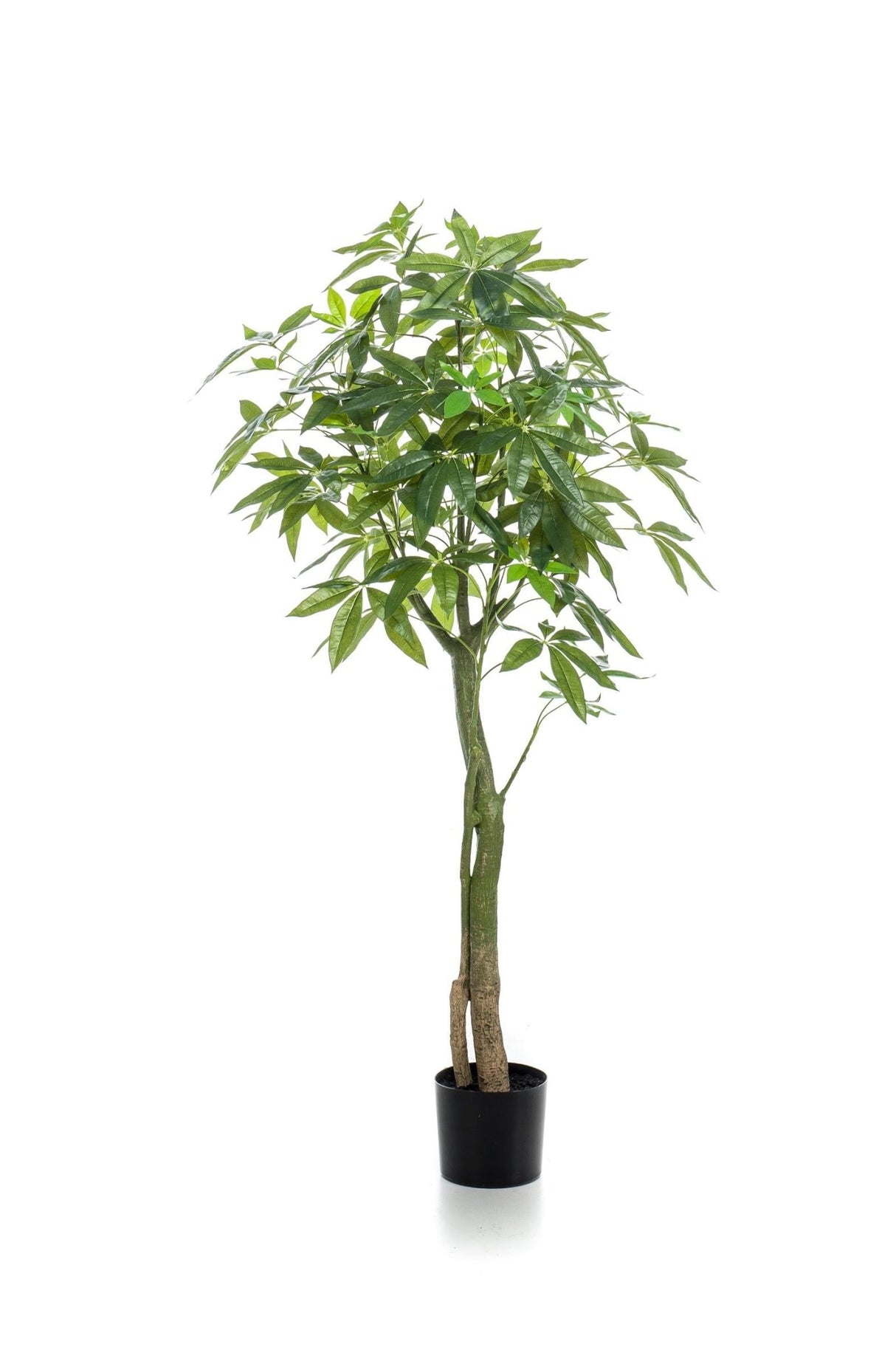 Livraison plante Pachira Aquatica plante artificielle - h150cm, Ø17cm