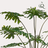 Livraison plante Philodendron plante artificielle - h105cm, Ø16cm