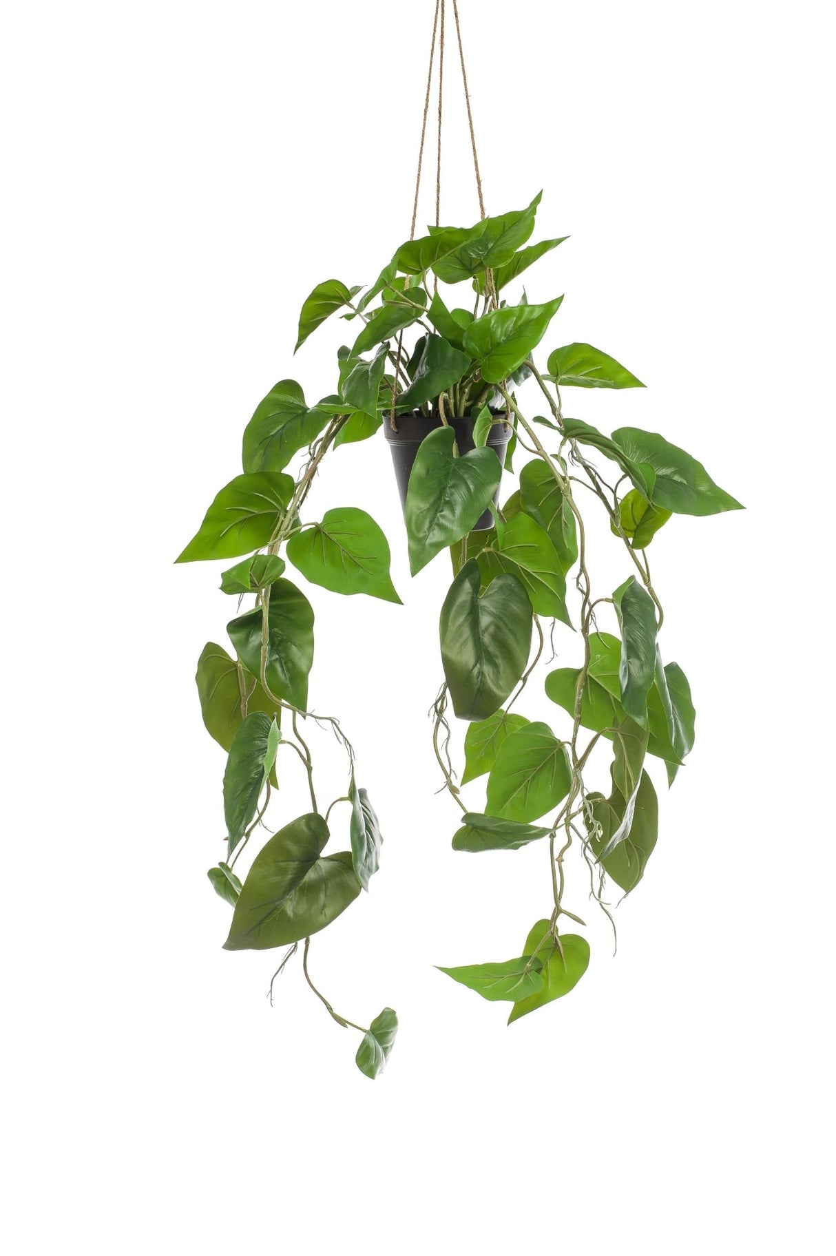 Livraison plante Philodendron plante artificielle - h80cm, Ø18cm
