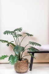 Livraison plante Philodendron plante artificielle - h98cm, Ø9cm