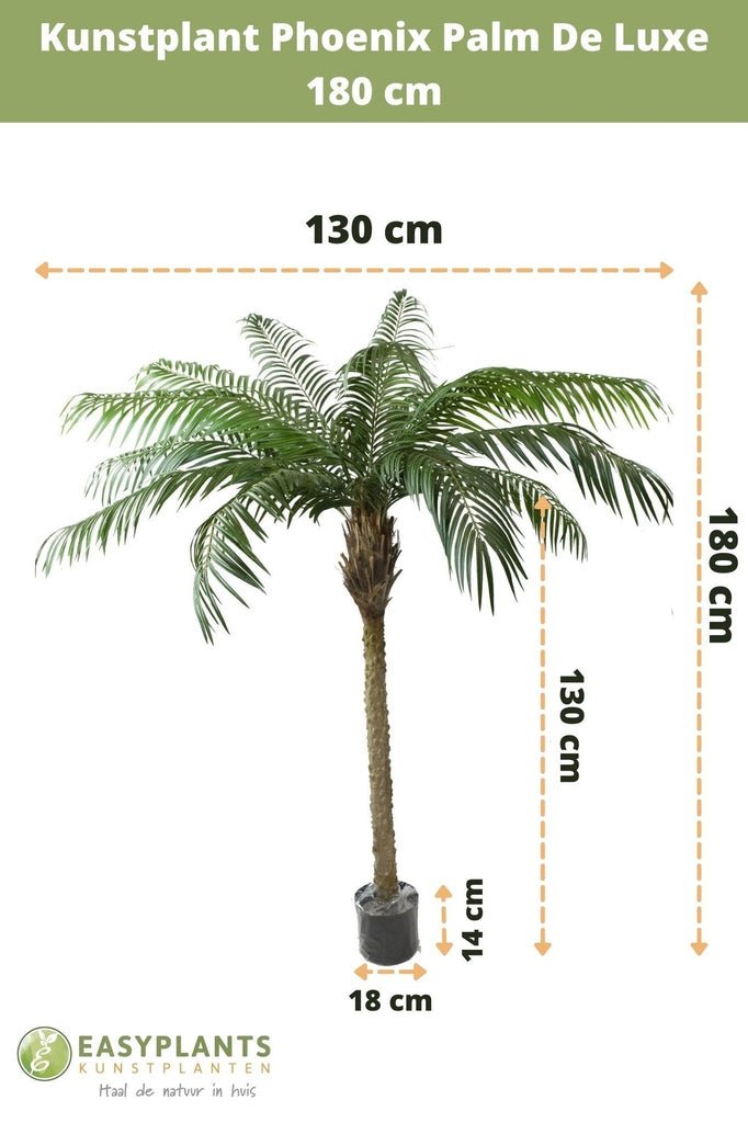 Livraison plante Phoenix - Grand palmier artificiel