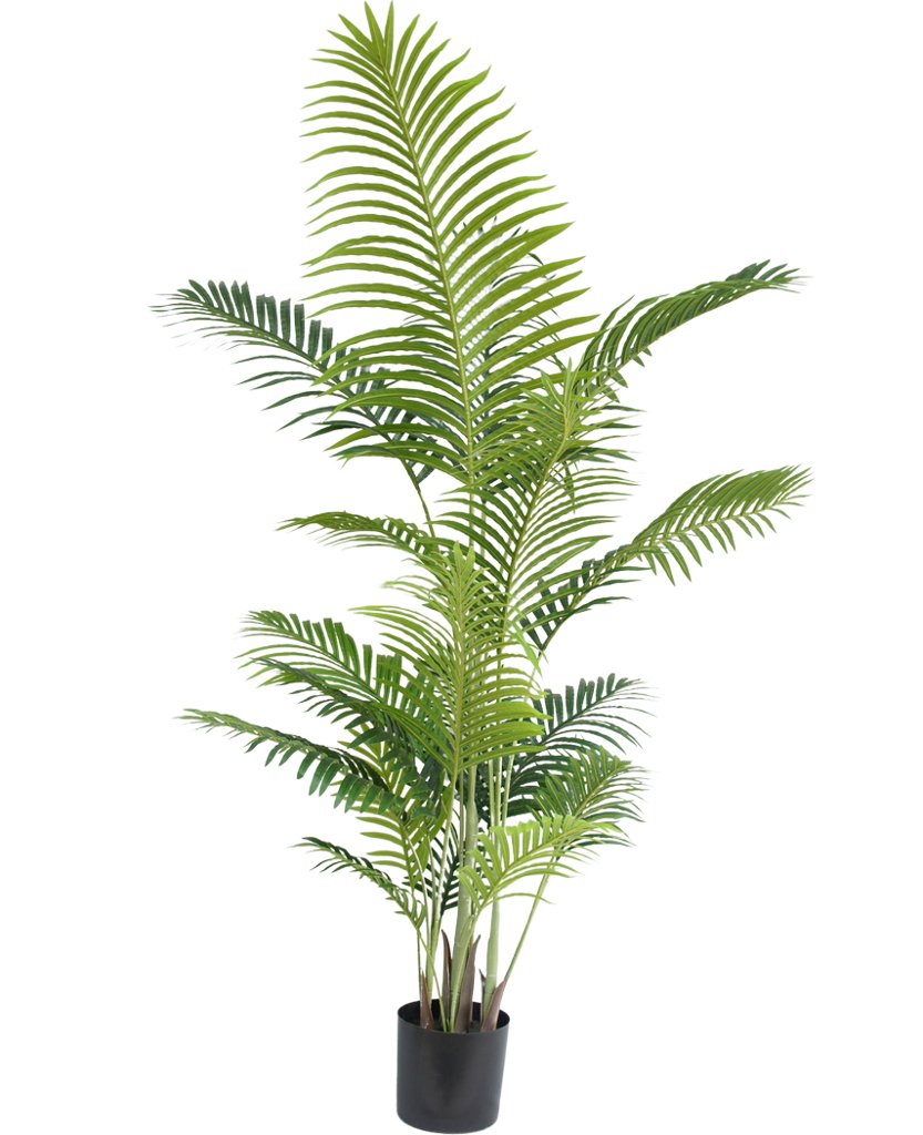 Livraison plante Phoenix - Palmier artificiel