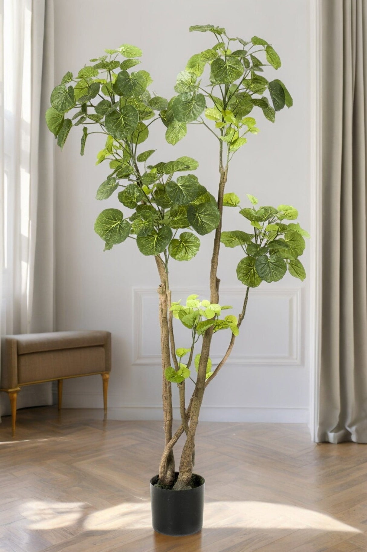 Livraison plante Polyscias plante artificielle - h140cm, Ø14cm