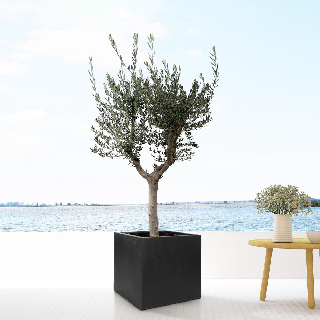 Livraison plante Pot Block Noir 60 cm