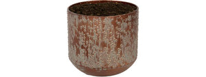 Zwarte Lian pot 15 cm