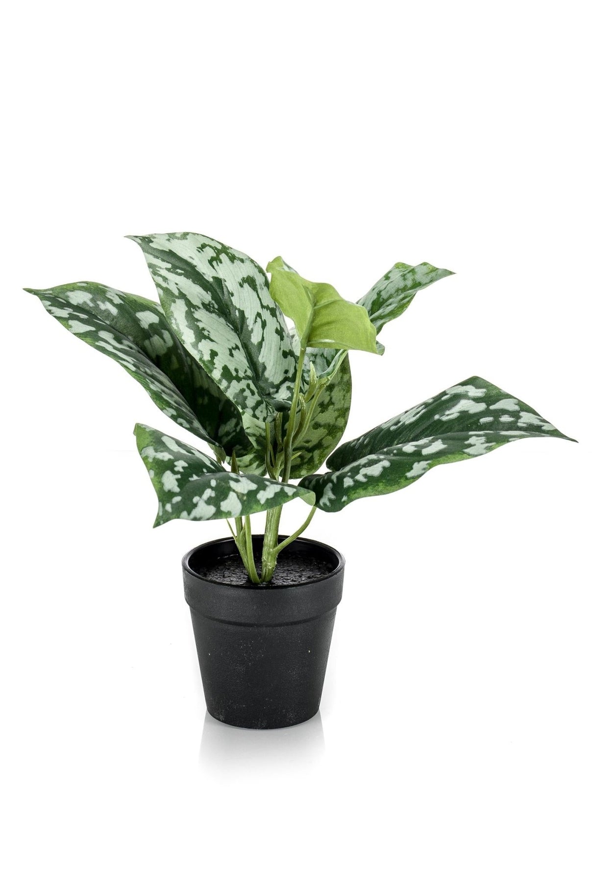 Livraison plante Scindapsus plante artificielle - h30cm, Ø15cm