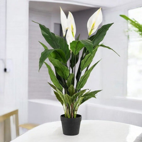 Livraison plante Spathipyllum - fleur de lune artificiel