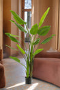 Livraison plante Strelitzia Nicolai plante artificielle - h180cm, Ø17cm