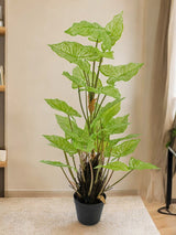 Livraison plante Syngonium - grande plante artificielle