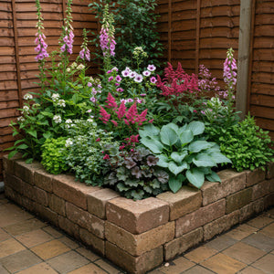 Livraison plante Vivaces d'ombre Mix – Lot de 8 – Pot 11 cm