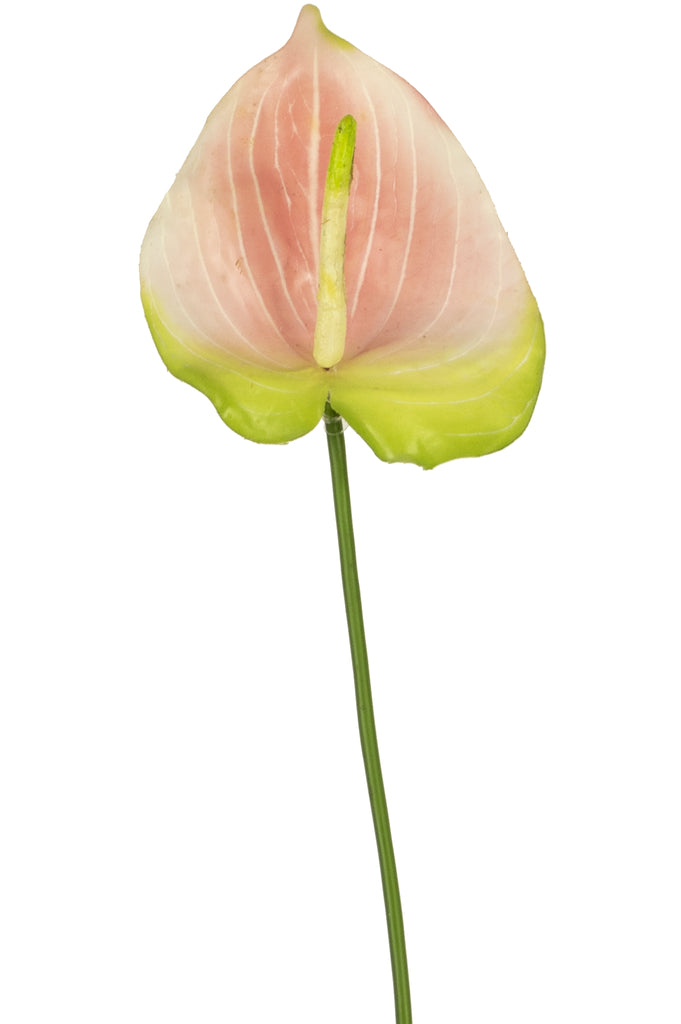 Kunstroze anthurium