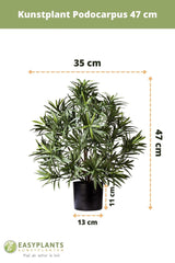 Podocarpus - Künstliche Grünpflanze