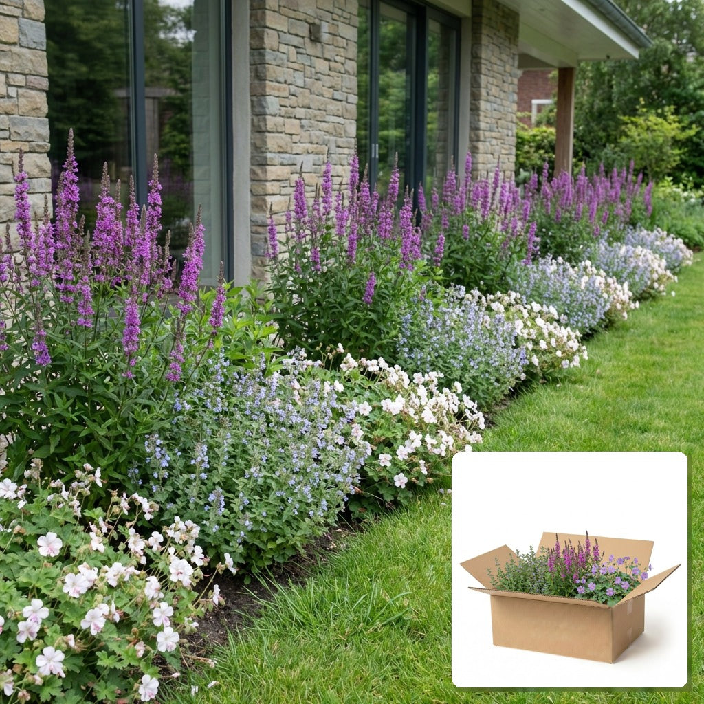 Pack jardin - composition prête à planter