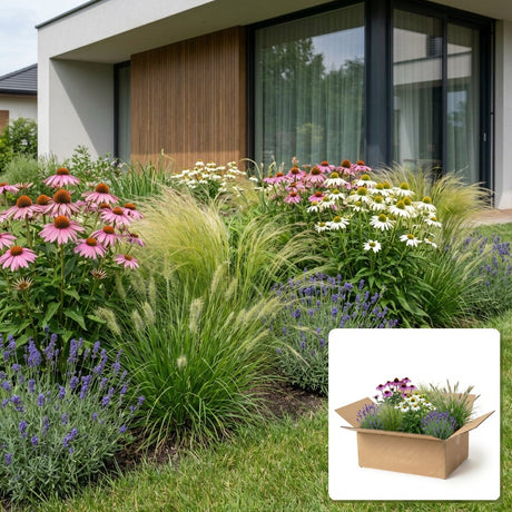 Pack jardin - composition prête à planter