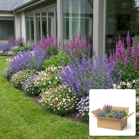 Pack jardin - composition prête à planter