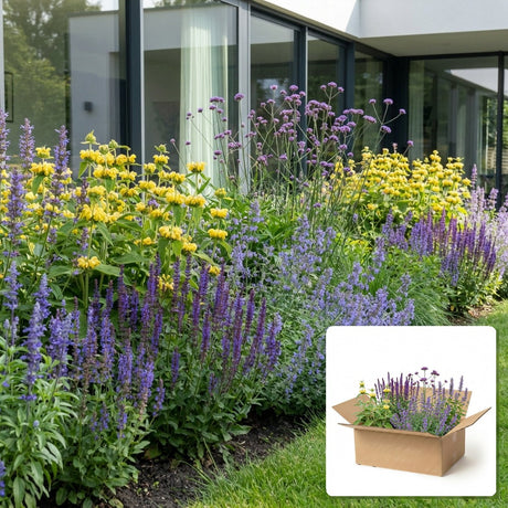 Pack jardin - composition prête à planter