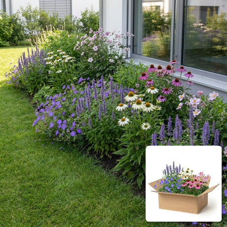 Pack jardin - composition prête à planter