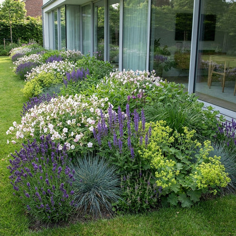 Pack Massif Soleil & Mi-Ombre Rose & Blanc & Jaune - 30 plantes — photo 2