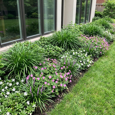 Pack Massif Soleil & Mi-Ombre Rose & Blanc (Laîche Du Japon & Géranium Vivace) - 30 plantes — photo 2