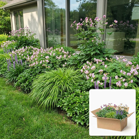 Pack jardin - composition prête à planter