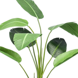 [NL: Strelitzia artificiel en pot h120cm]