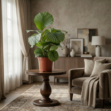 Calathea Orbifolia – Plante paon | Pot 21 cm, Hauteur 60 cm