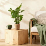Monstera Deliciosa avec panier – Plante trouée | Pot 17 cm, Hauteur 50-55 cm