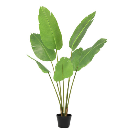 Strelitzia Nicolai künstlich H135cm
