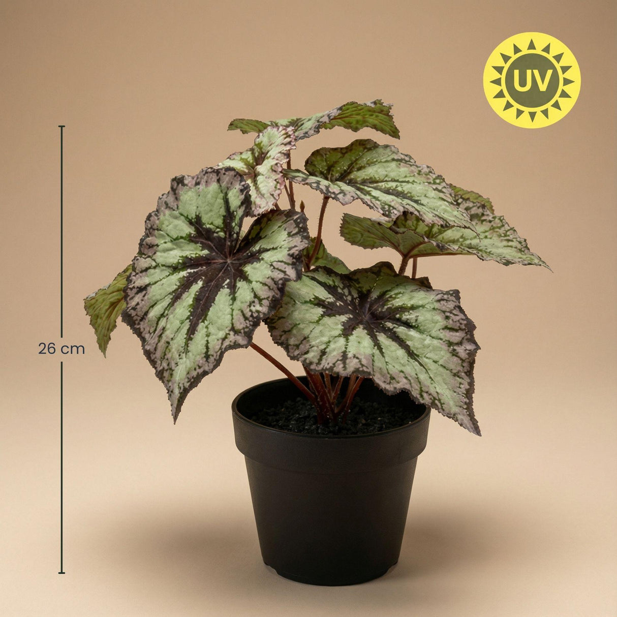 Begonia plante artificielle