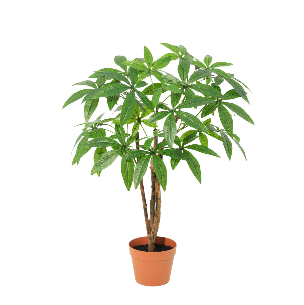 Pachira Aquatica plante artificielle